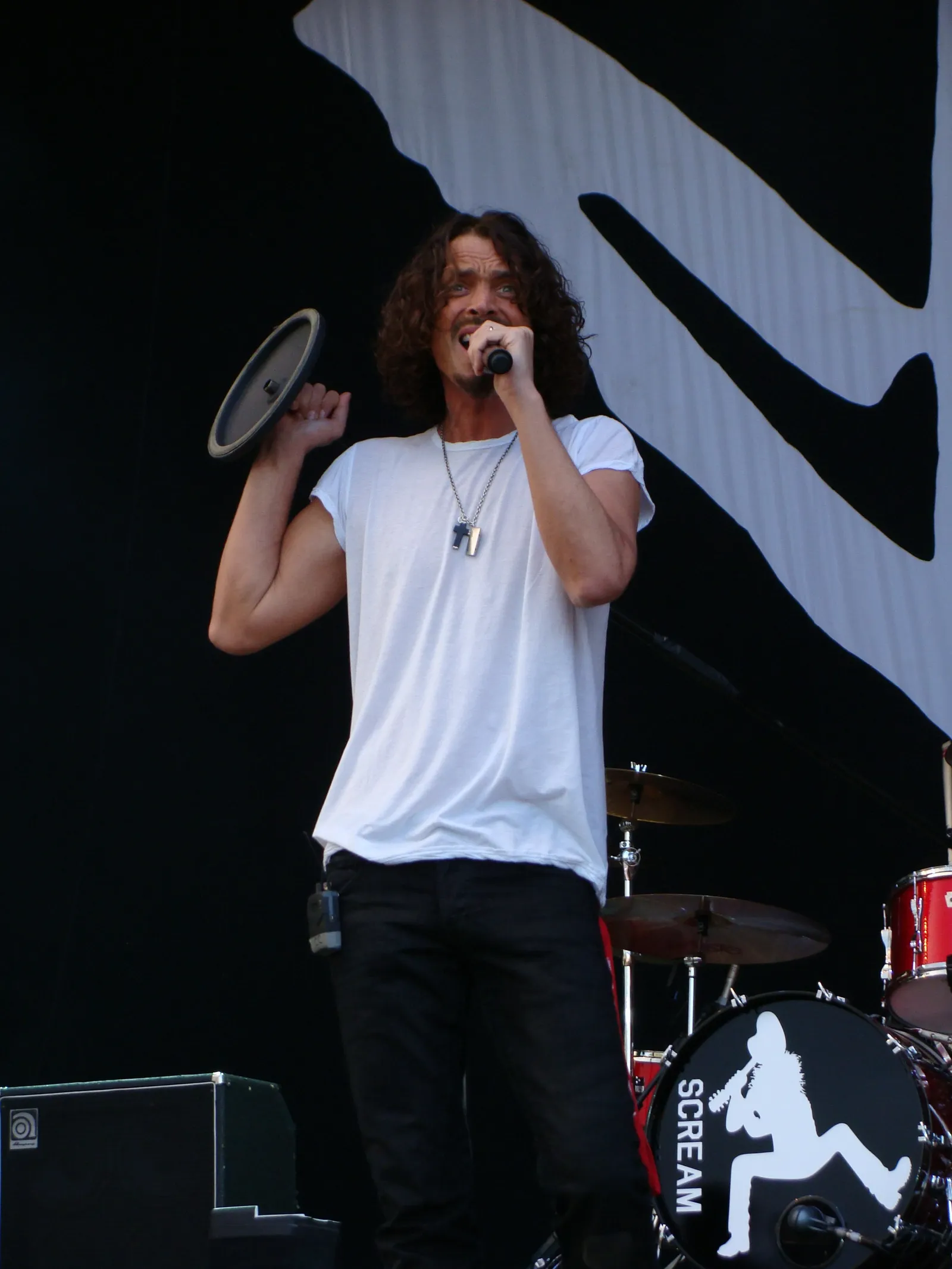 3. Chris Cornell - The Rock Hall's Reluctant Legend (Image Credits: Wikimedia)