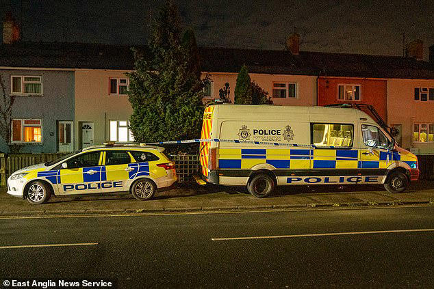 Constable who failed to enter home as man murdered wife with skateboard ...