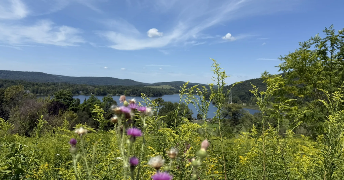 9 easy spring hikes in Connecticut with beautiful views