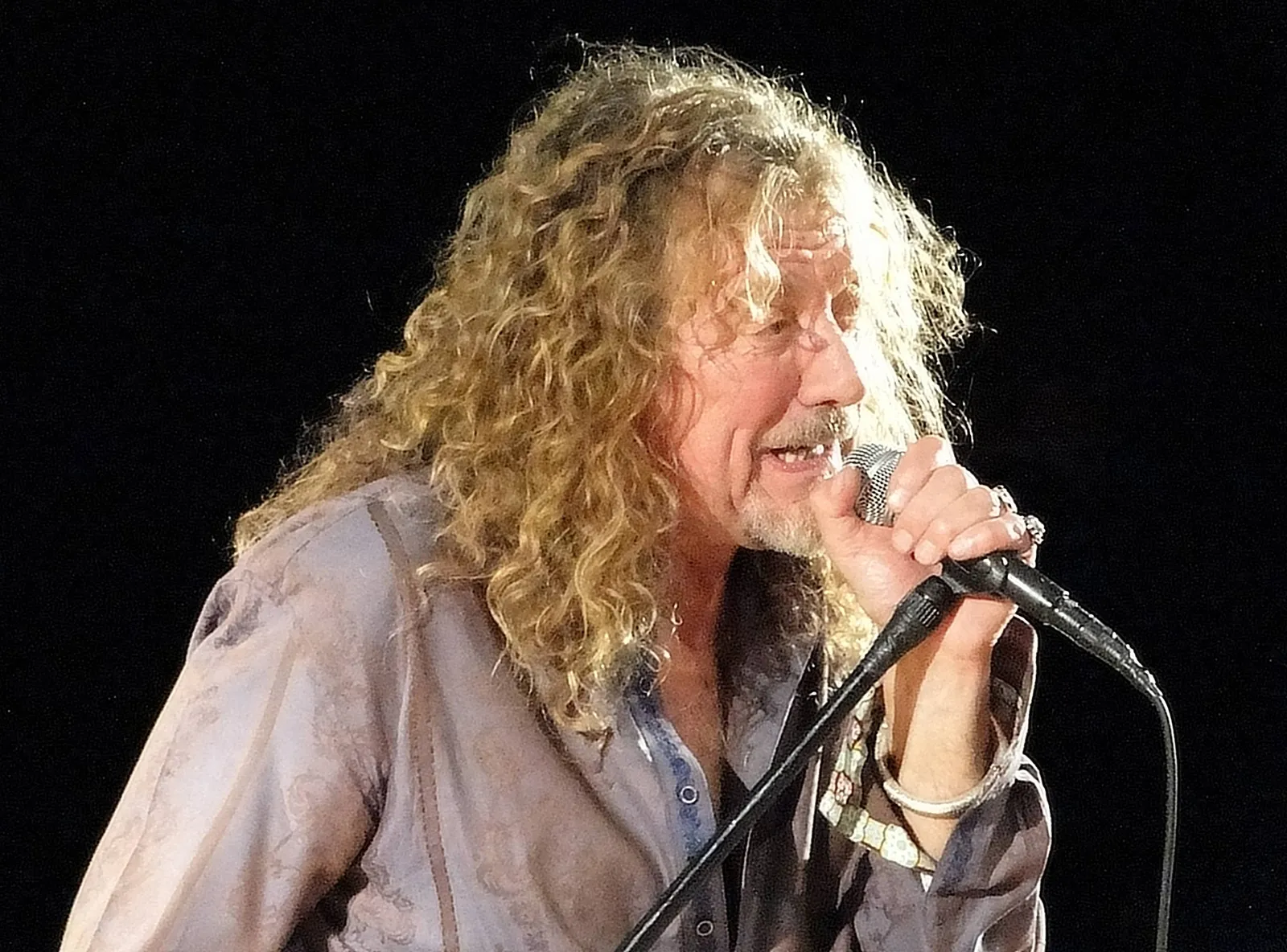 2. Robert Plant - The Golden God Who Set the Standard (Image Credits: Wikimedia)