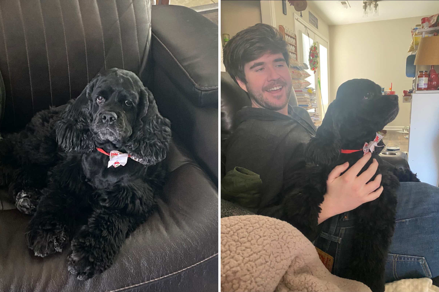 Dog owner can’t believe Wendy’s worker’s response after asking for pup cup