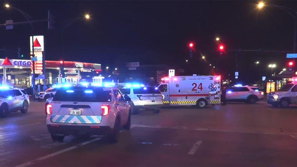 2 men shot and wounded on Chicago's 79th Street CTA Red Line platform