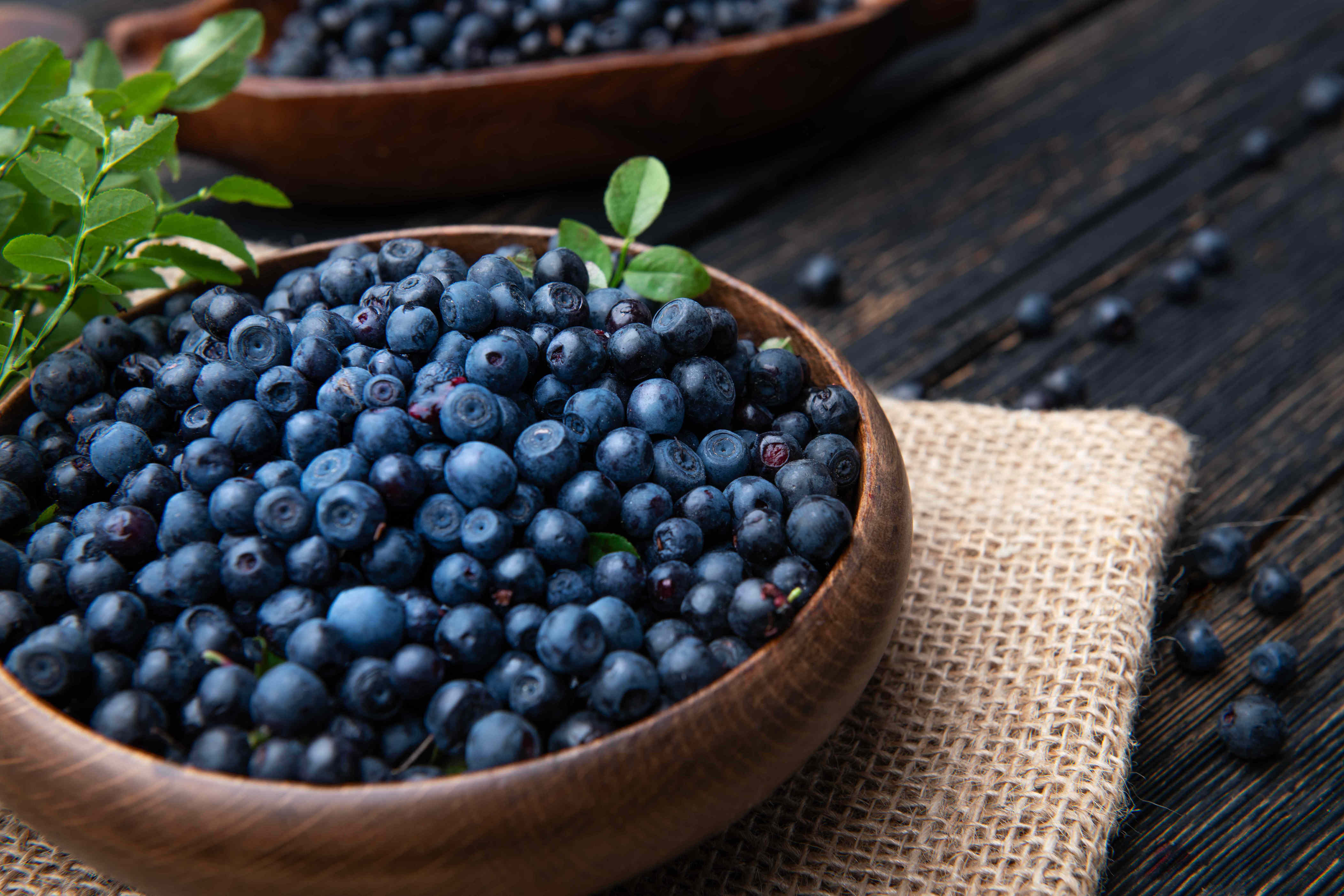 Why wild blueberries might be the most powerful fruit in the produce aisle