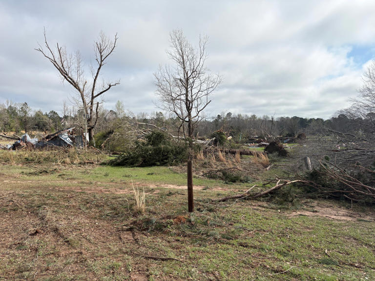 NWS confirms tornado touched down in Marion County, winds over 100 mph