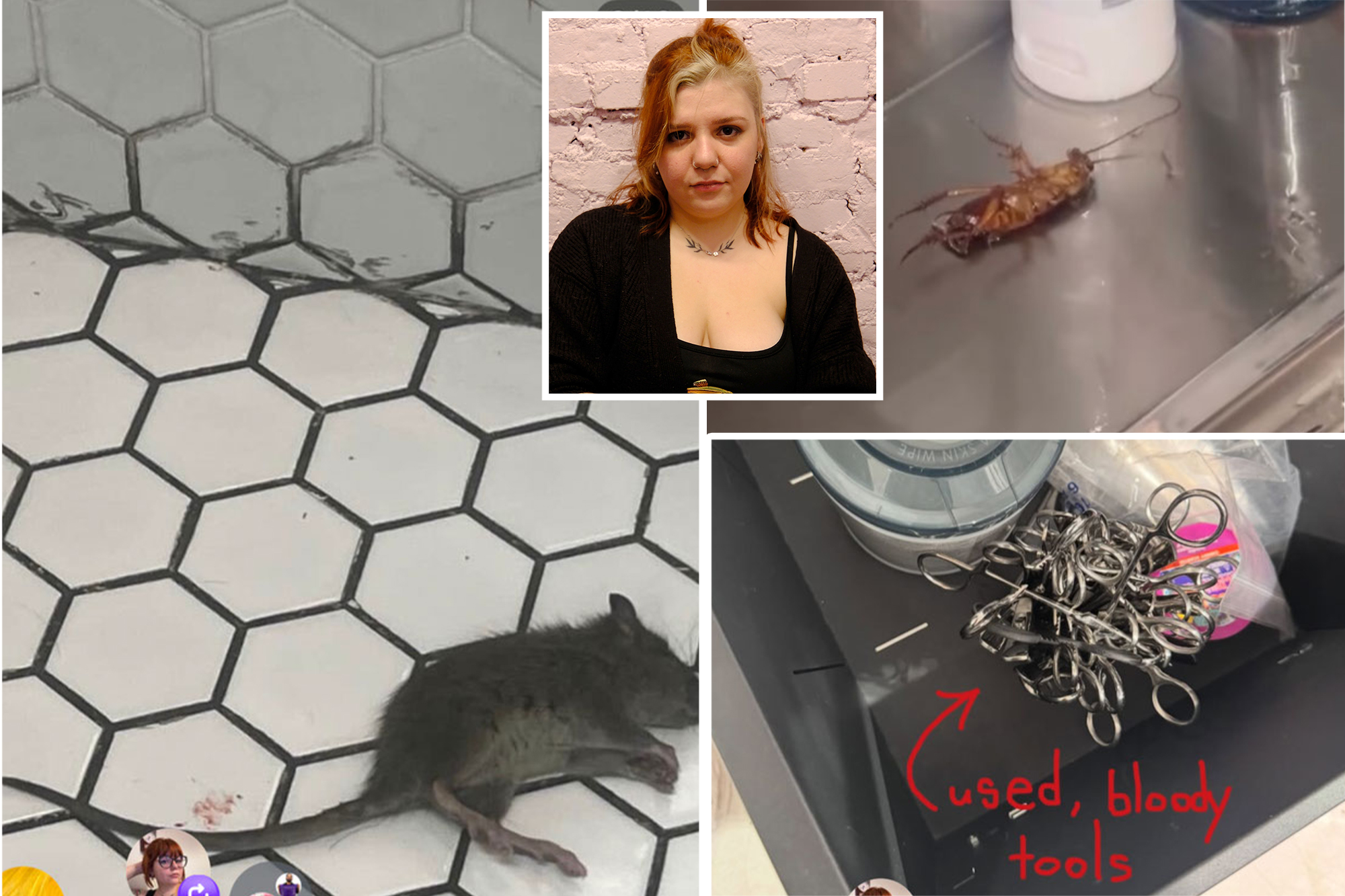 Popular NYC tattoo biz sues ex-workers for calling out alleged dirty ...