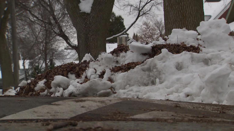 Milwaukee spring leaf cleanup; city launches one-time collection
