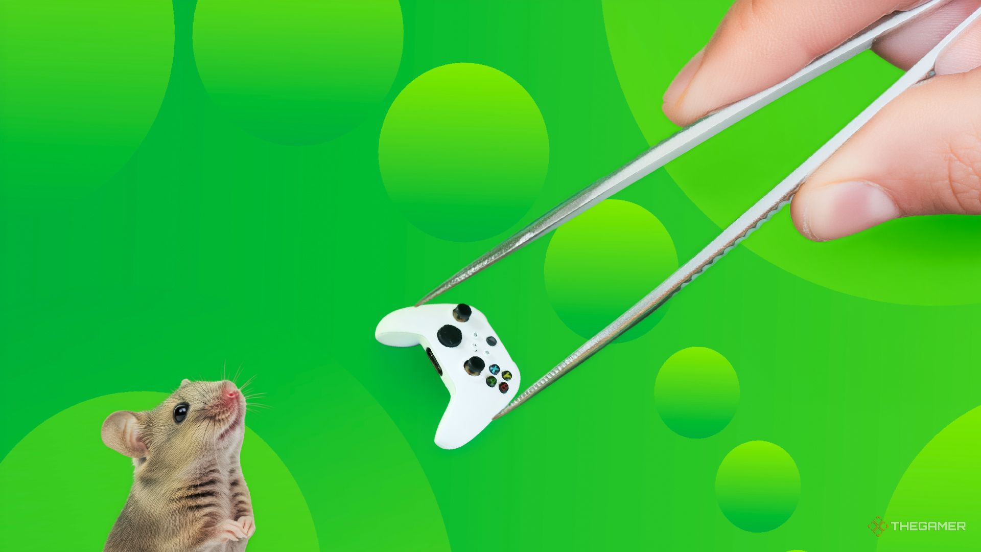 Steam Deck player makes tiny functioning Xbox controller