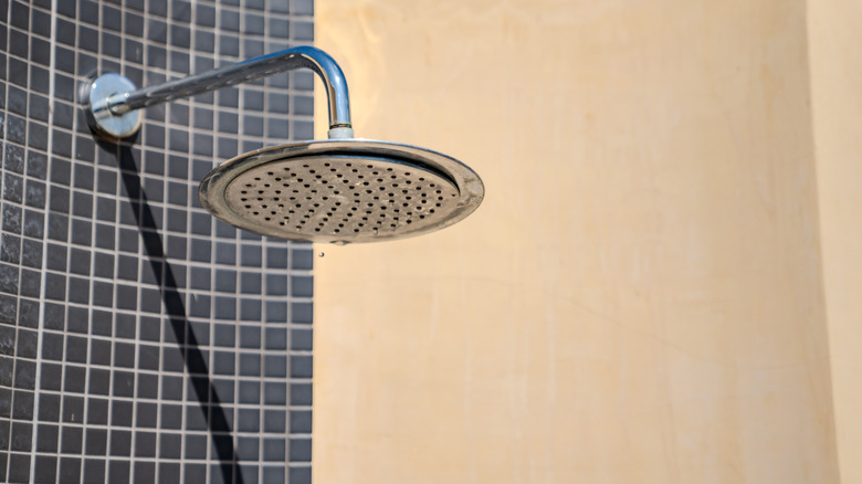Picture of Save space in your small bathroom with this stunning shower design