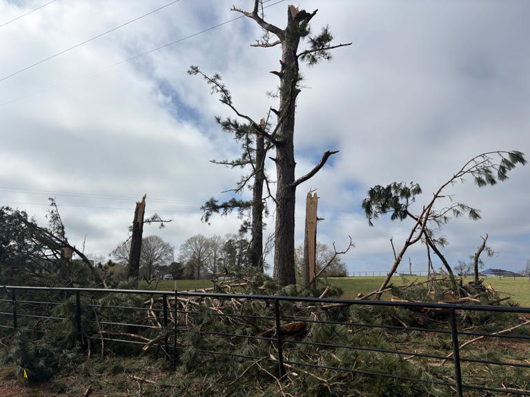NWS confirms tornado touched down in Marion County, winds over 100 mph