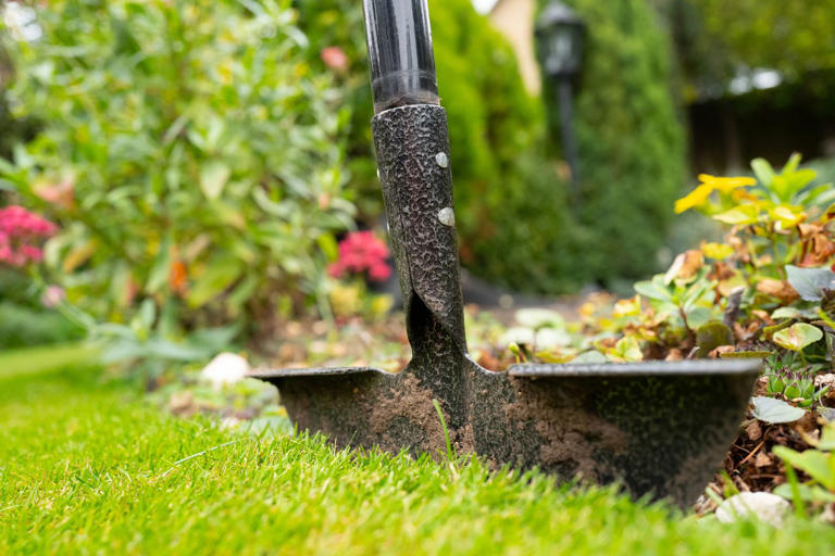 We asked landscaping pros if you should edge or mow your lawn first ...