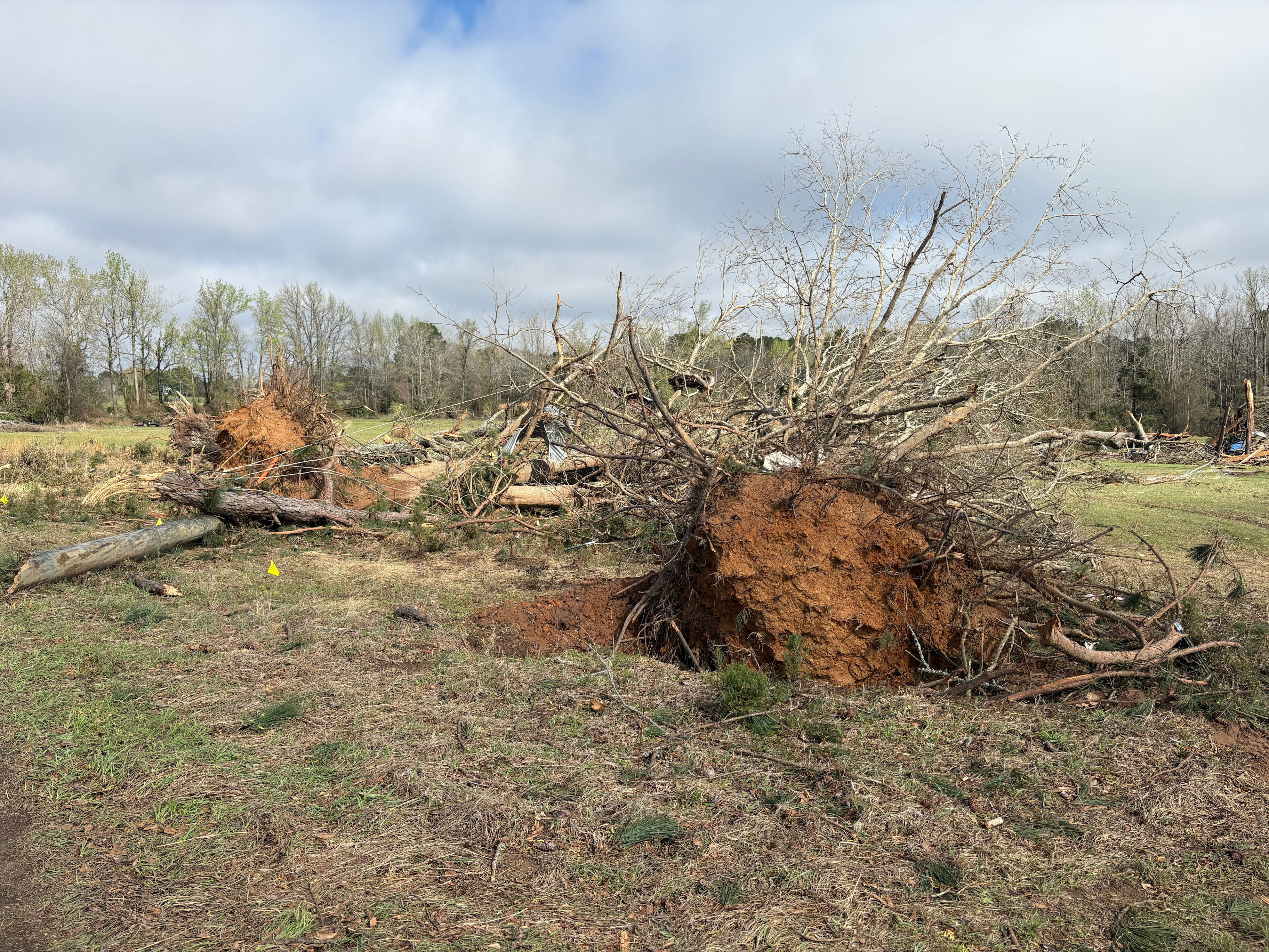 NWS confirms tornado touched down in Marion County, winds over 100 mph