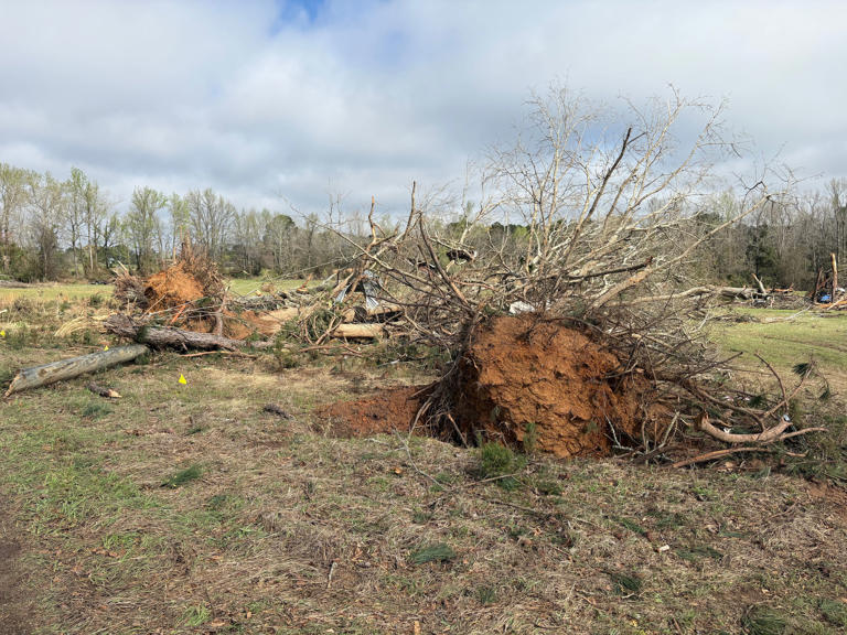 NWS confirms tornado touched down in Marion County, winds over 100 mph