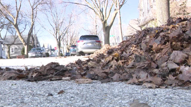 Milwaukee spring leaf cleanup; city launches one-time collection
