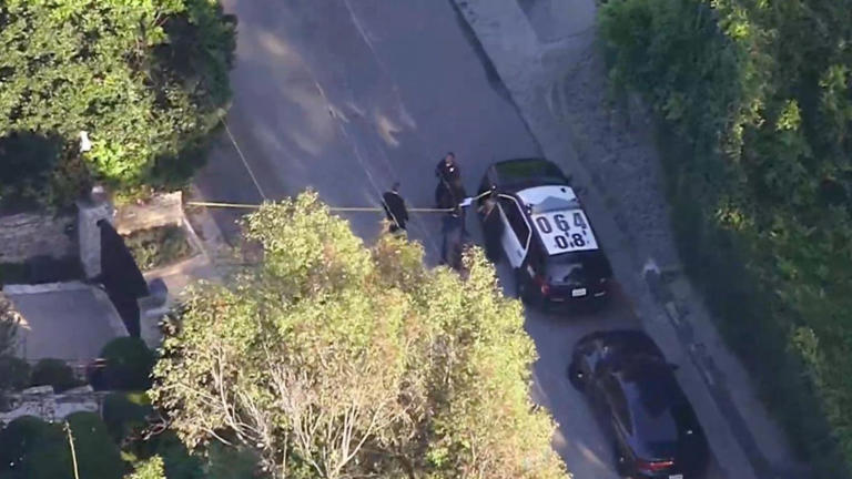 Attempted murder arrest after shots fired at Rihanna's home while she ...