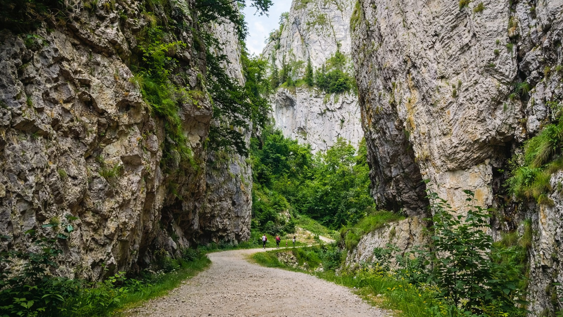 aerial-view-of-the-majestic-z-rne-ti-gorge-in-romania
