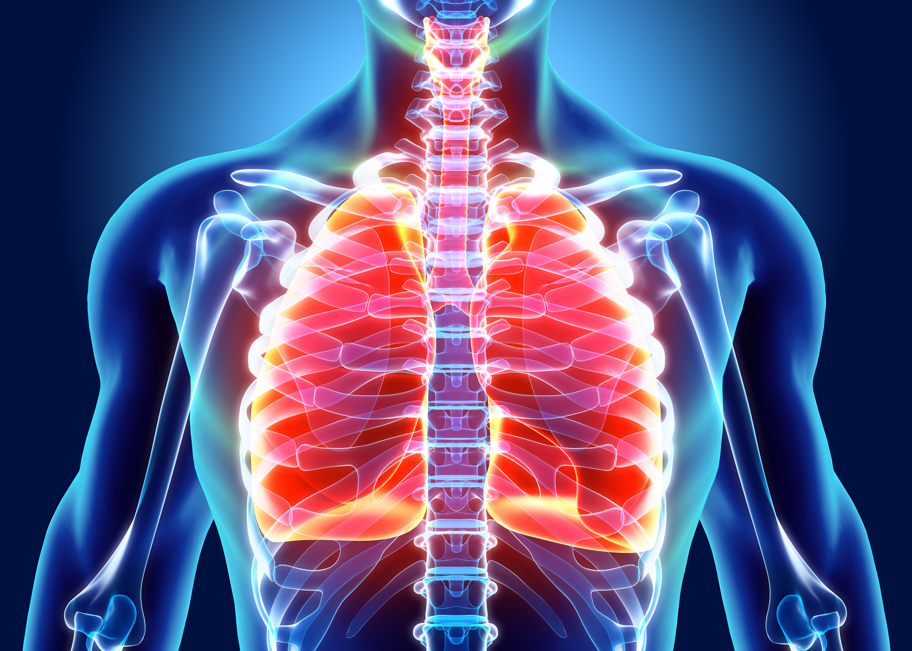 HSENI highlights lung health risks for farmers – don't ignore signs of ...