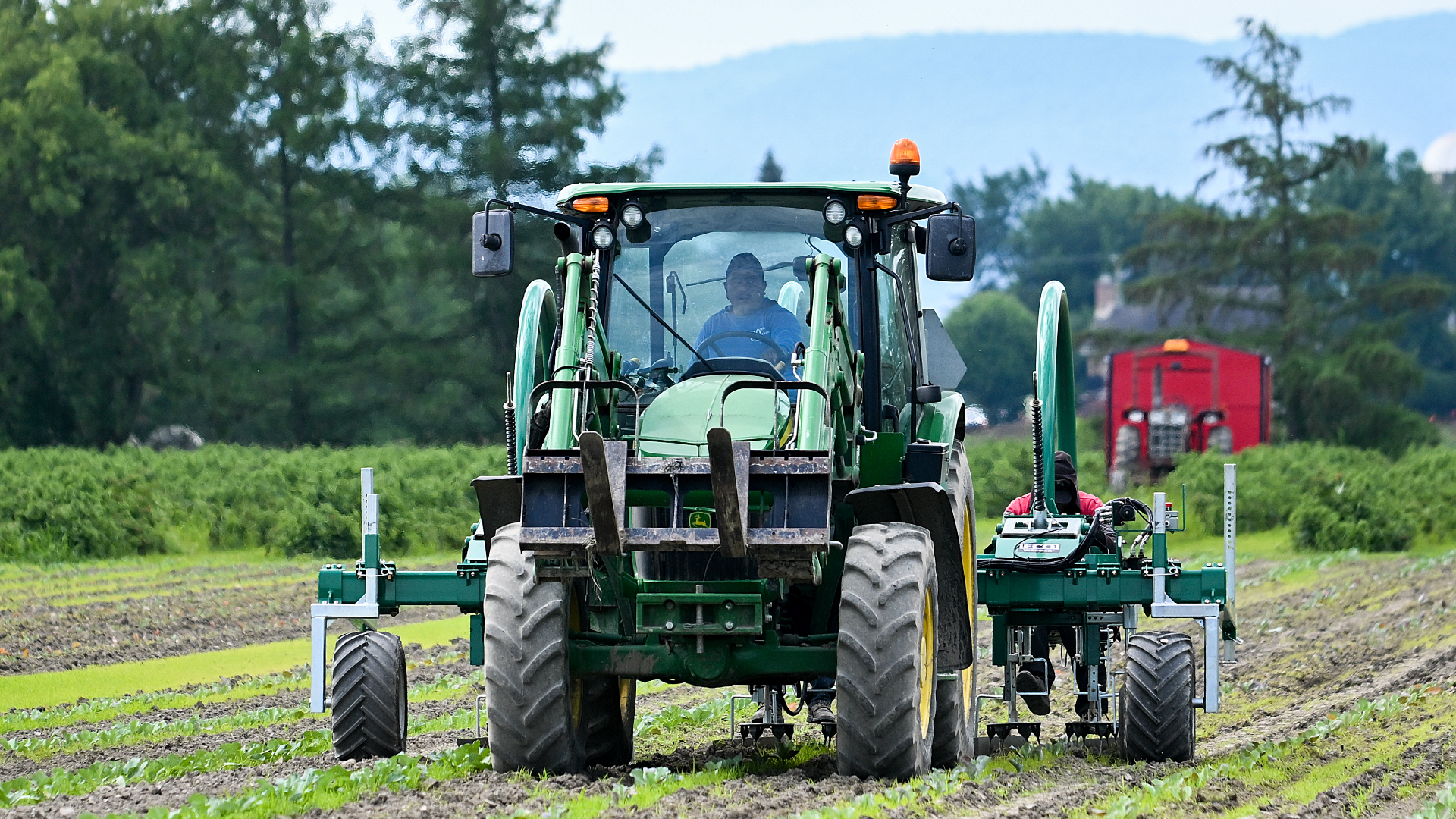 Food costs could start climbing as impact of war in Middle East begins ...