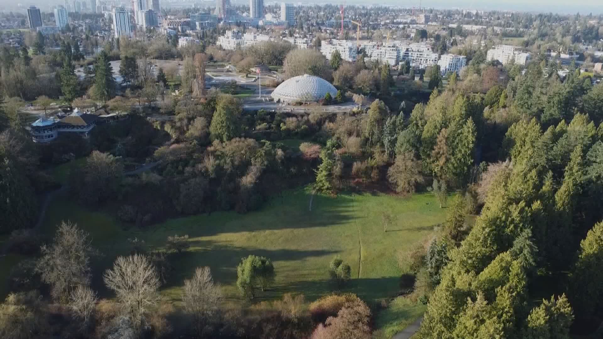 Queen Elizabeth Park attractions proposal