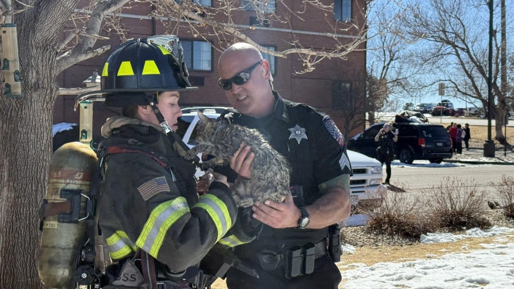 Over 90 guests evacuated, pets rescued after explosion at hotel in ...