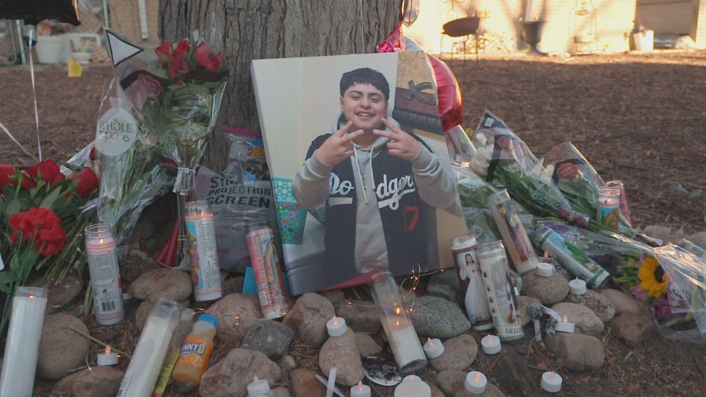Family of slain Aurora teen asks for witnesses to come forward