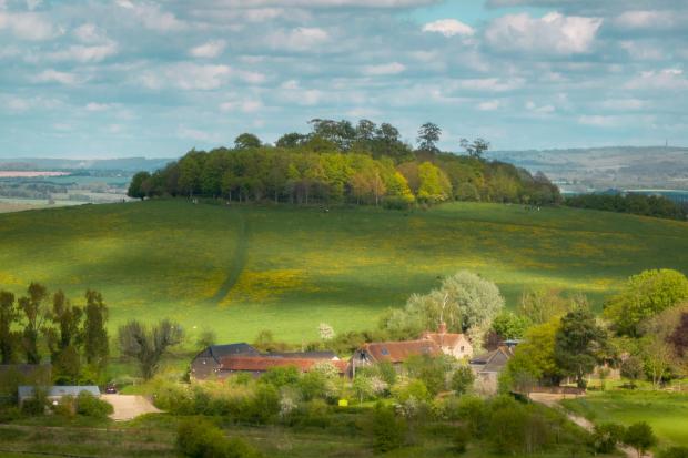 Major plans unveiled for future of Oxfordshire’s Wittenham Clumps