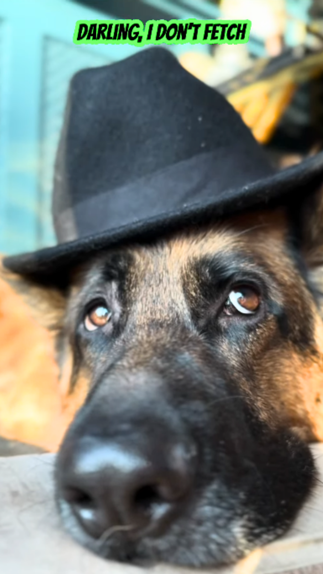 Cooper thinks his humans need training