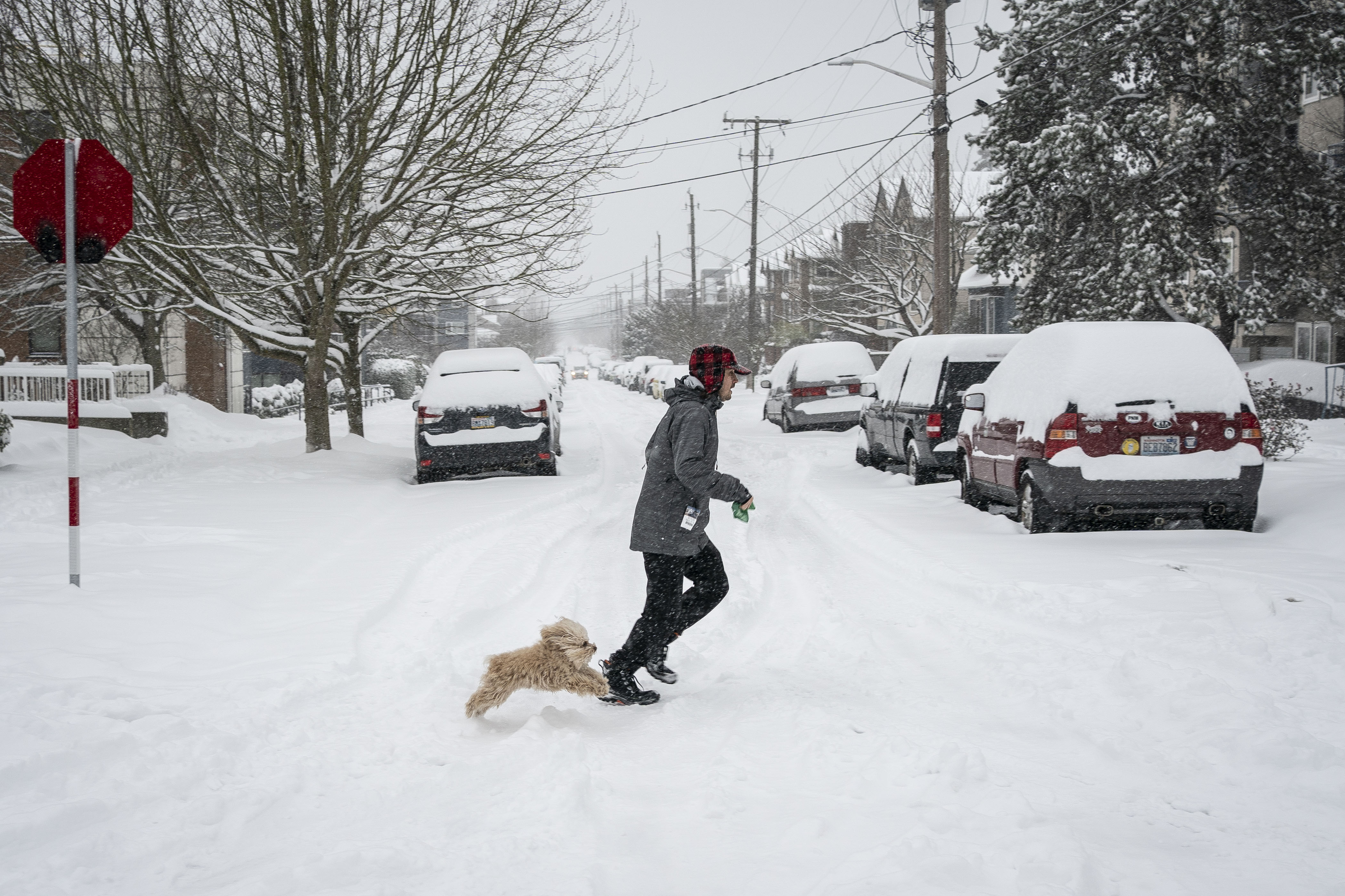 Heavy snow warning as up to 4 feet to strike: 