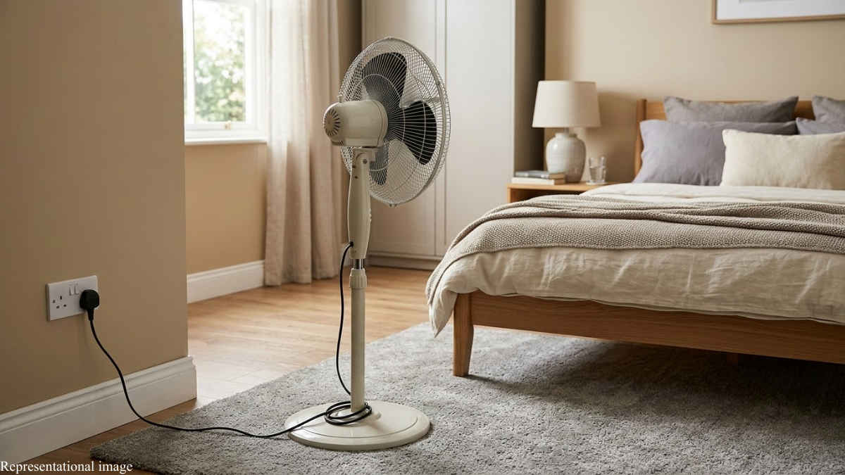 Best farrata or pedestal fans in India in 2026