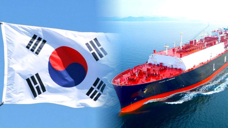 86.5% 점유율 