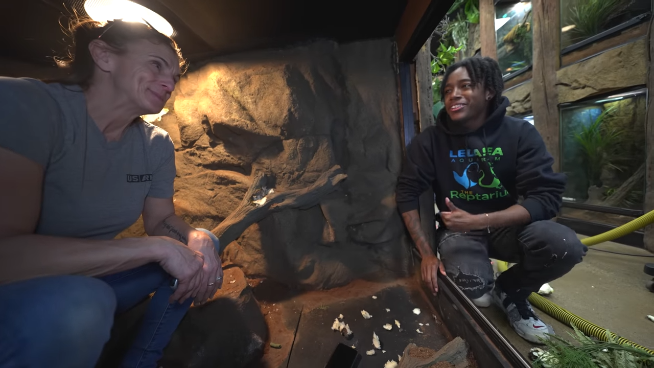 Giant lizard tears apart his enclosure