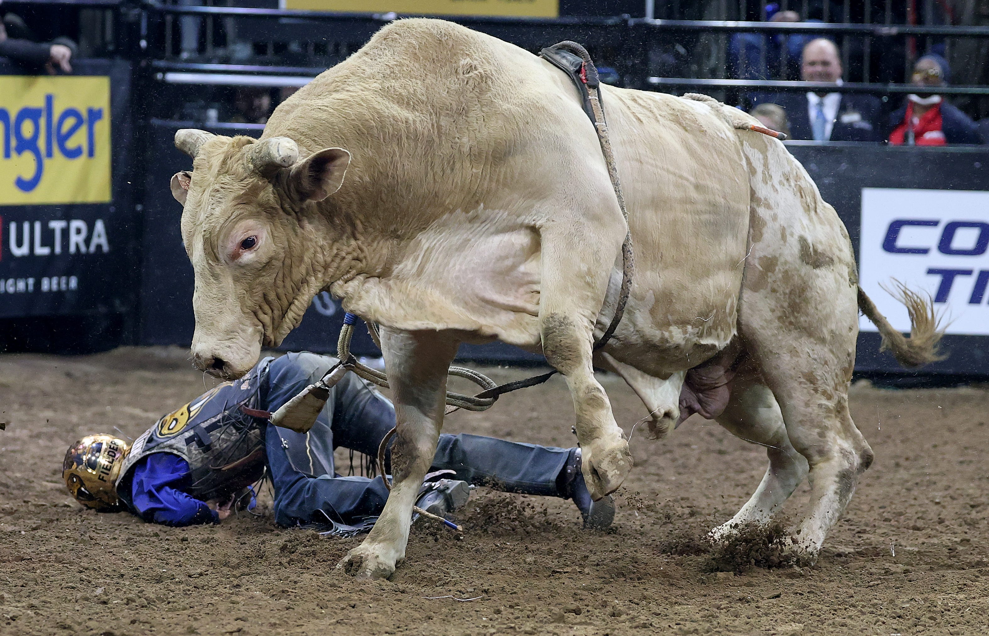 Professional Bull Riders mourn loss of champion bull Man Hater