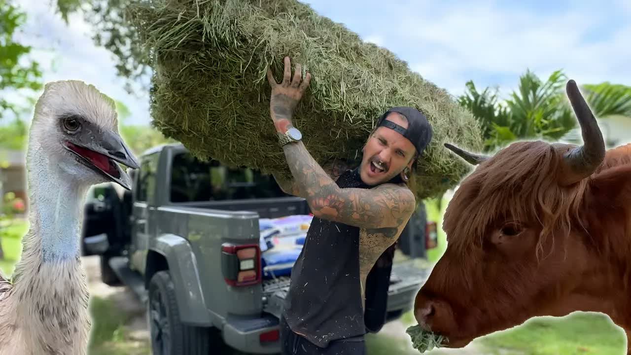A full day of feeding animals at the ranch