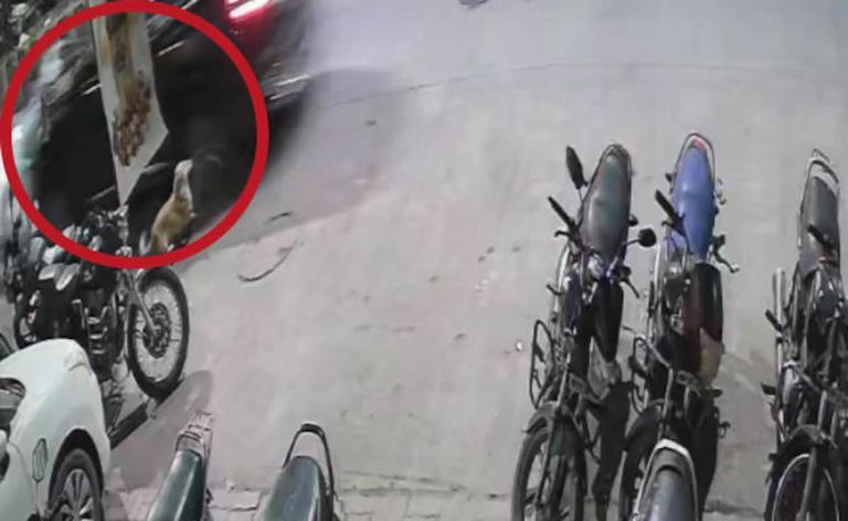 On CCTV, speeding Scorpio runs over two men in Madhya Pradesh, 1 dead