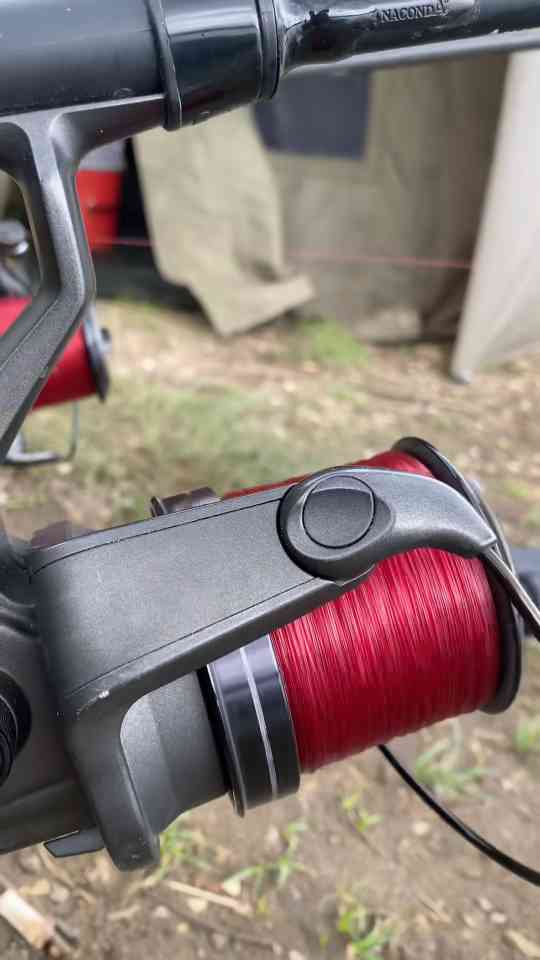 Carp fishing setup tips for landing big carp
