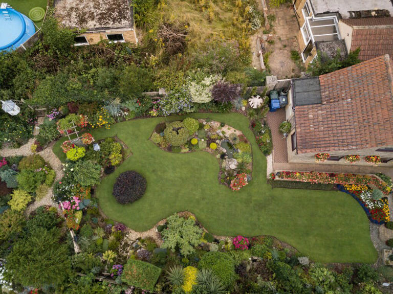 How to deal with sodden lawns after UK’s soggy start – from UK’s best ...