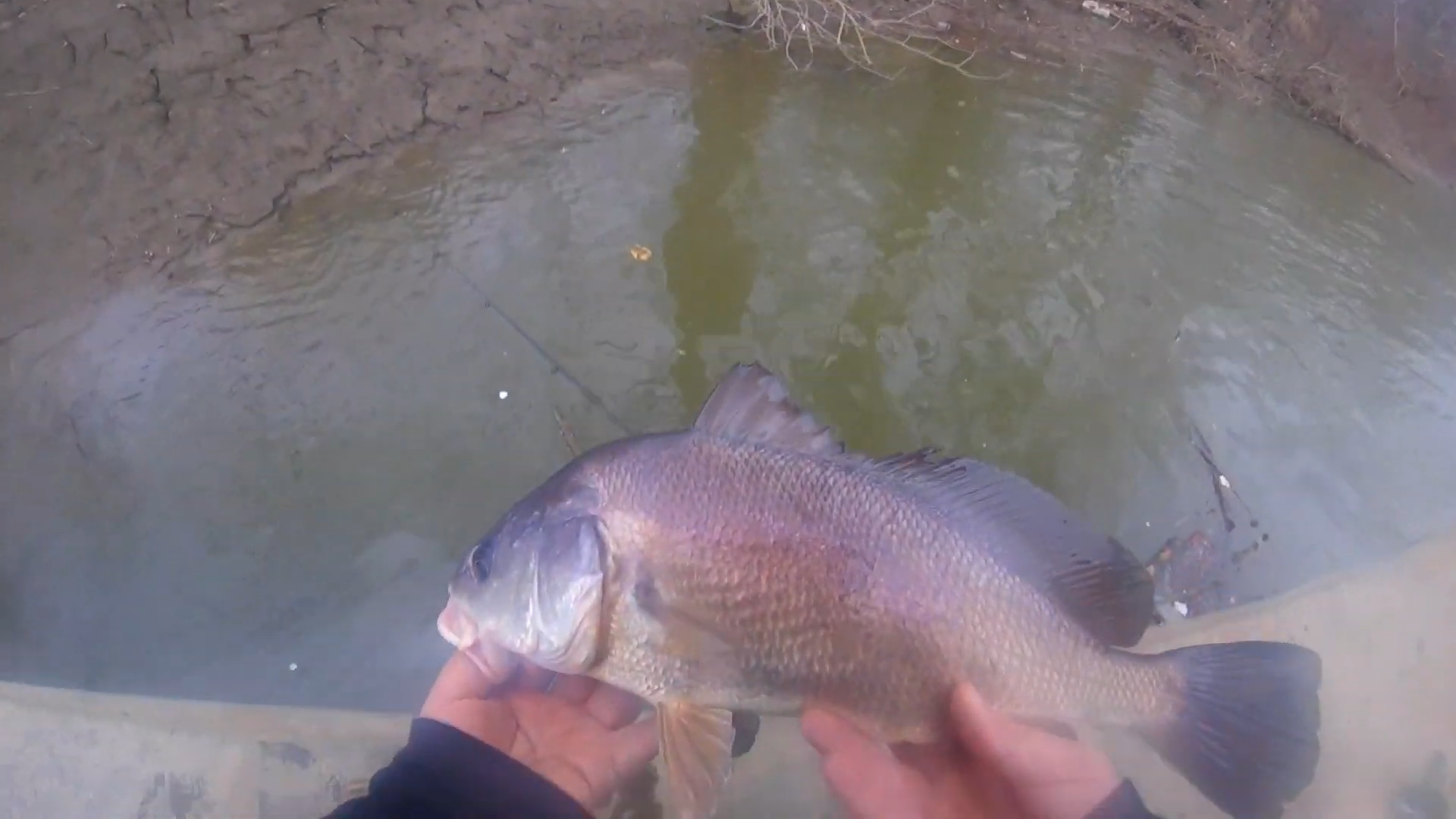 Winter fishing for West Virginia redfish