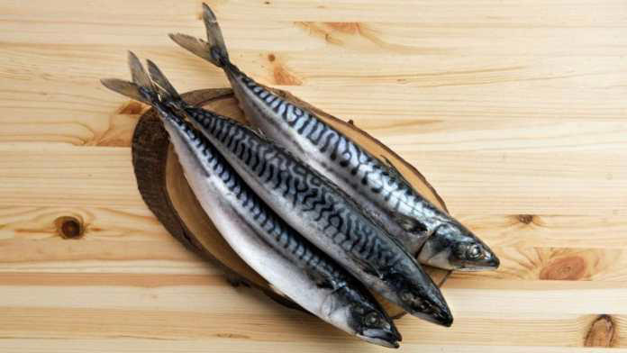 Efectos de comer atún, sardinas y salmón enlatados