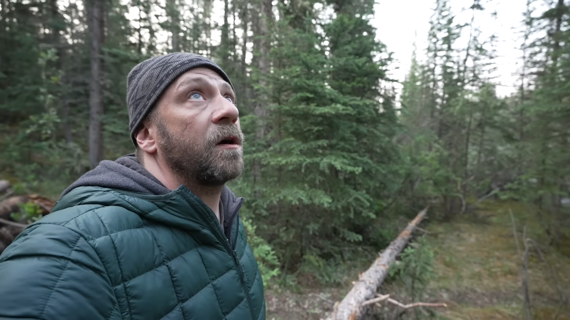 I slept 14 feet up in a tree… what could go wrong?