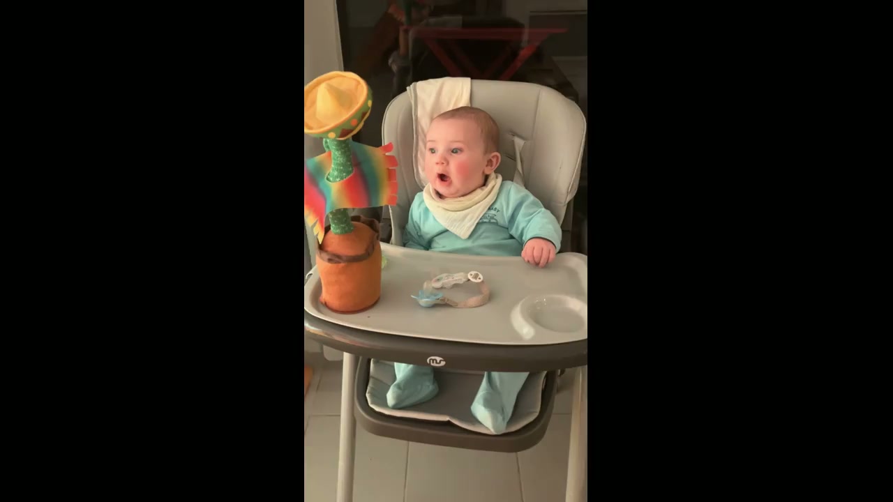 Baby amazed by talking cactus toy in Saint-Gaudens, France