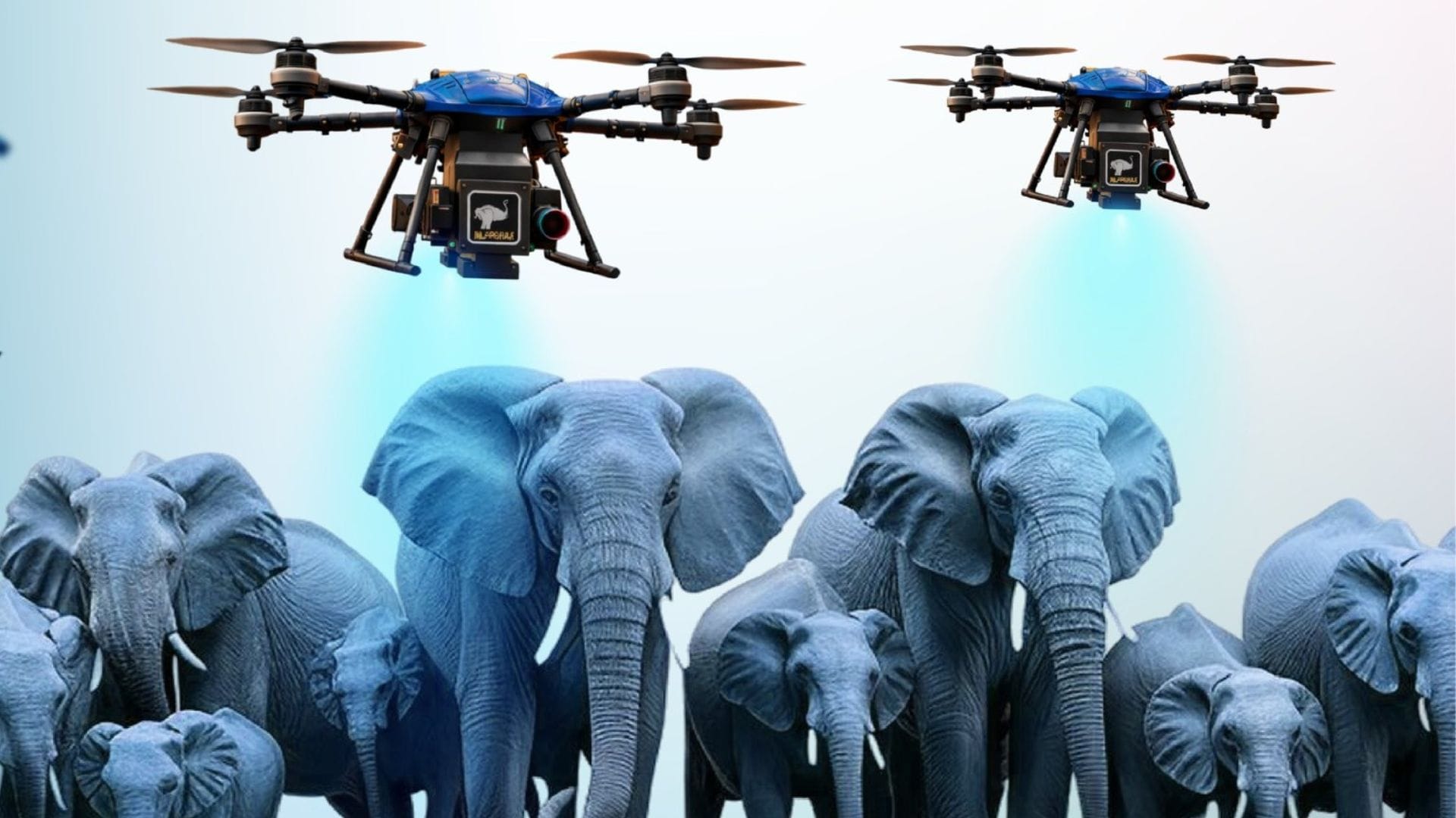Garuda Aerospace unveils drone designed to tranquilise elephants