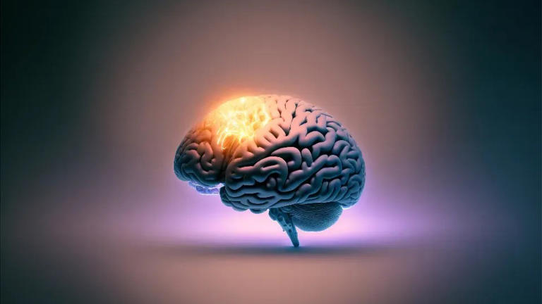 The psychology of memory: How we remember