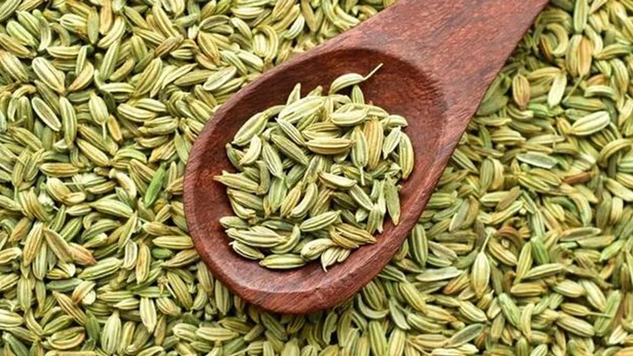 How to grow fennel in a pot with simple care tips
