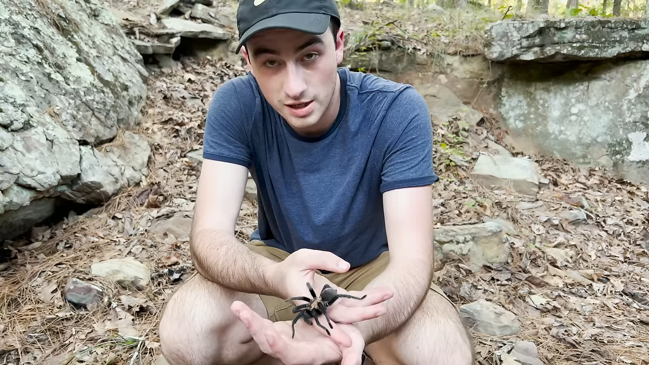 What happens when a giant tarantula faces a human at close range