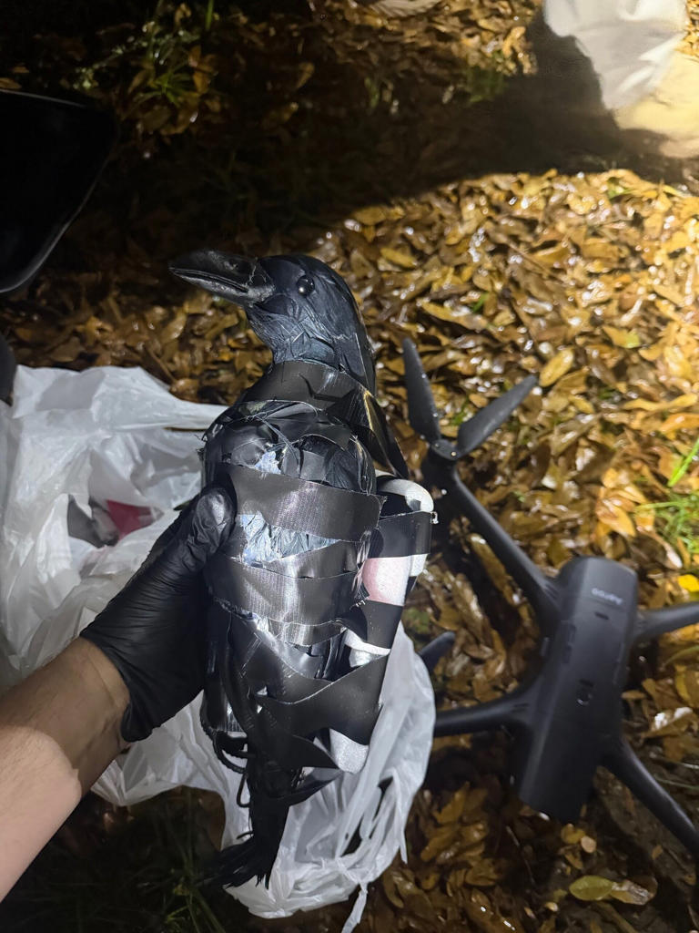 Texas women arrested for using drone to fly bird decoys into Grant ...