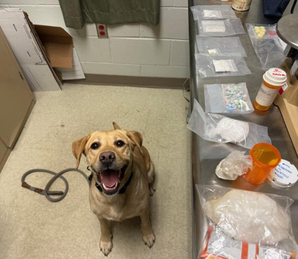 Botetourt County drug bust: Meth, fentanyl, cocaine seized