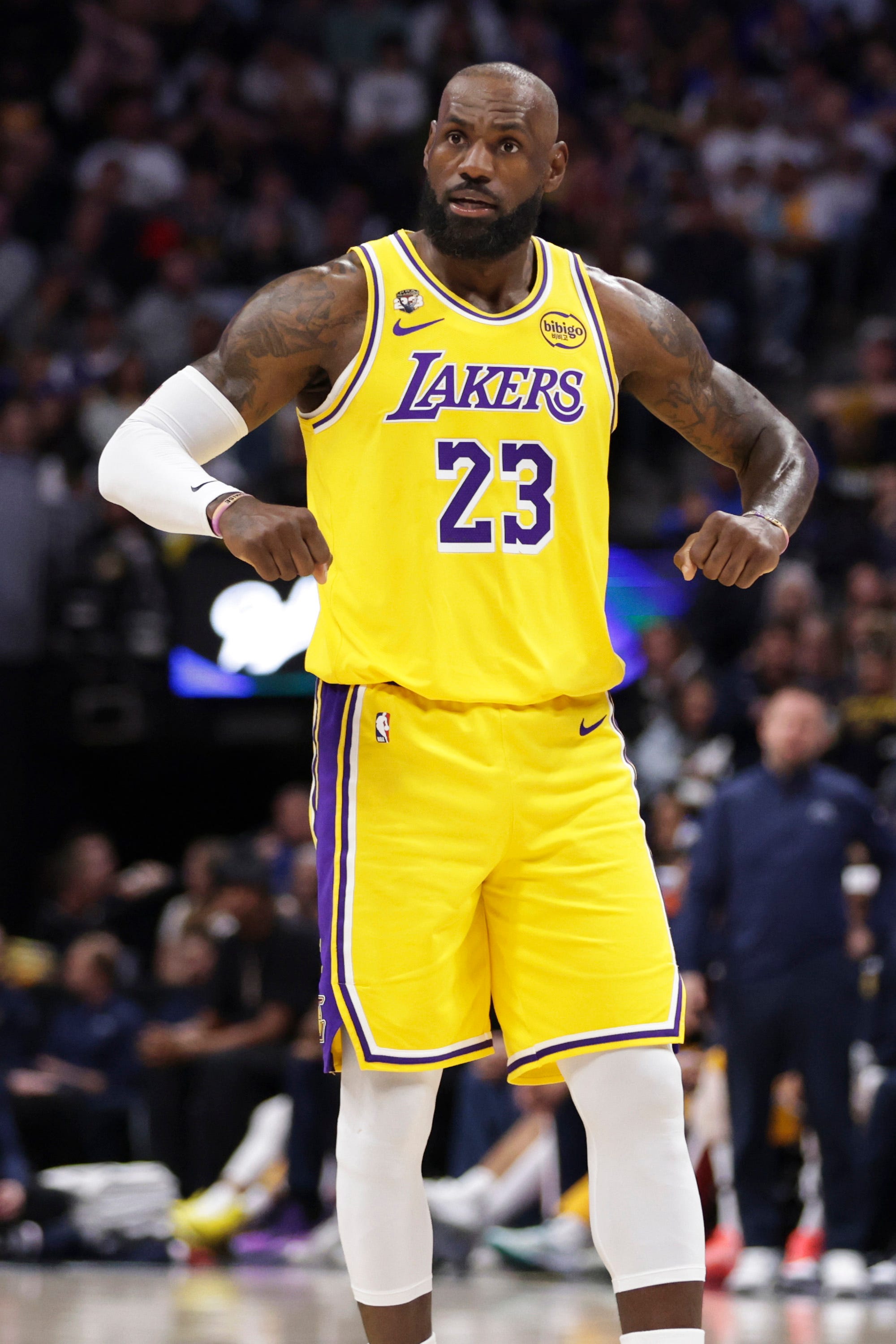 Knicks coach Mike Brown on LeBron James: 'He can play forever'