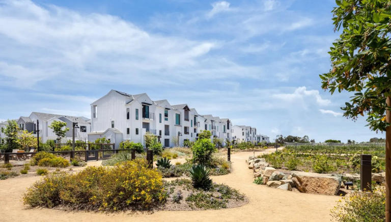 What happens when a neighborhood is built around a farm
