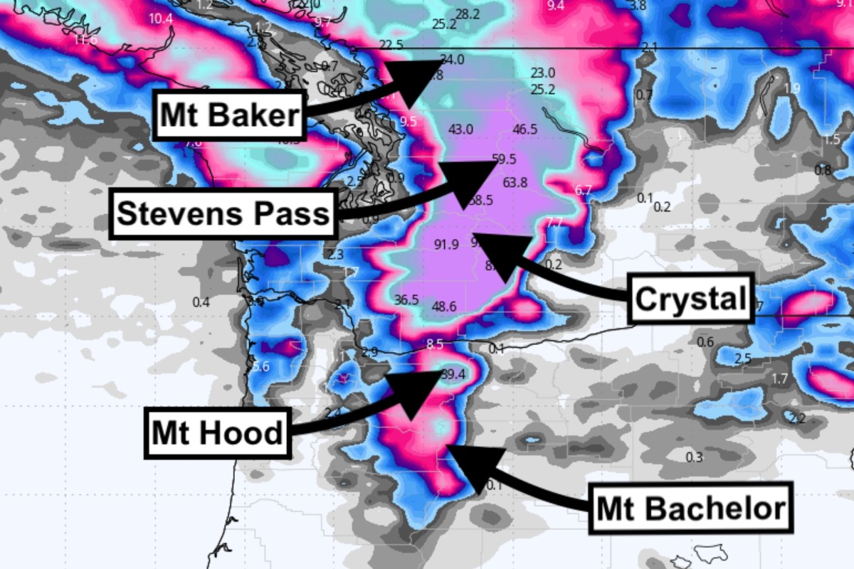 Brace for impact: 100 inches of snow forecasted for Washington