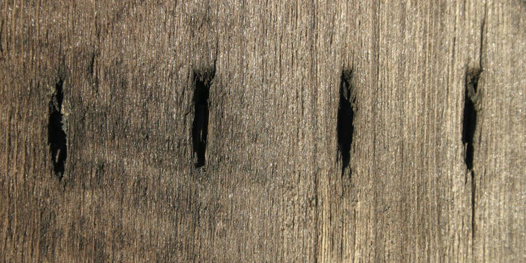Archaeologists may have discovered the oldest form of writing—ever