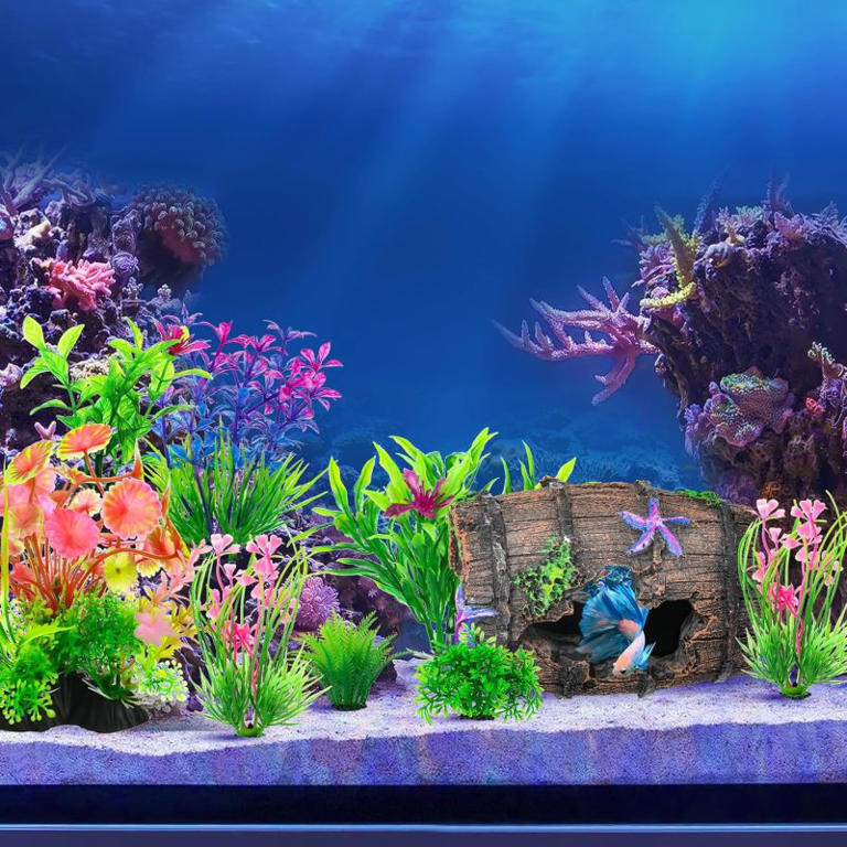 Amazon’s whimsical $9 fish tank decorations look like a movie scene